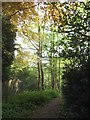 Path and trees by Hendon Wood Lane