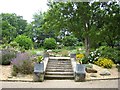 Steps in Sheffield Botanical Gardens