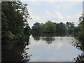 Lake, Somerhill Park