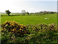 Legatonegan Townland