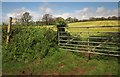 Field by Farm Lane