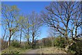 Devon Way at Tillicoultry