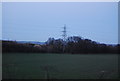 Pylon on the edge of Paddock Wood