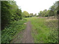 Dudley Road Path