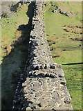 NY6766 : Hadrian's Wall west of Turret 45a (2) by Mike Quinn