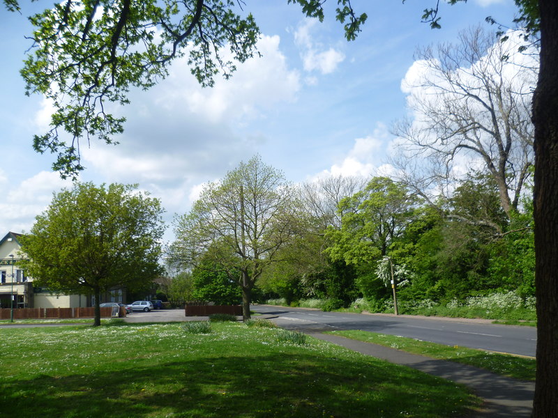 Grove Lane from The Mount © Marathon :: Geograph Britain and Ireland