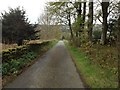 Minor road near Ardoe