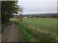 Minor road near Banchory-Devenick