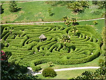 SW7727 : Glendurgan Gardens - maze by Chris Allen