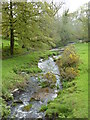 Stream at Longcarne Farm