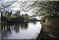 Grand Union Canal and Walk