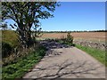 Minor road near Lintmill