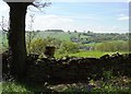 Press Farm from Redcar Hillside Plantation