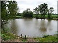 SJ7096 : Moss Pond, Astley Moss by David Dixon