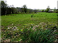 Killycurragh Townland