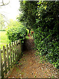TM3992 : Footpath to The Old Rectory by Geographer
