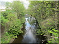 River Worth - viewed from off Pitt Street