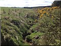 Reidside Burn