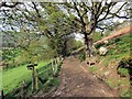 Trac ger Ffarm yr Hendre/ Track near Hendre Farm