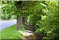 The footpath by the A584 is effectively invisible from the road