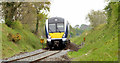 J2184 : Train, Kilmakee, Templepatrick (May 2014) by Albert Bridge