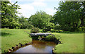 Clapper Bridge, Penpont Water, Bowithick