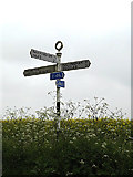 TM4095 : Roadsign on Thurlton Road by Geographer