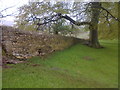 Dry Stone Wall