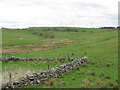 Farmland at Nether Carswell