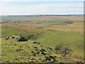 Farmland and moorland north of Hadrian