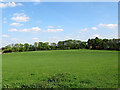 Open field, Wickham Court Farm