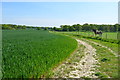 Track near Tiffenden Manor Farm