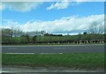 Farm buildings on the west side of the A1 (Dromore Road)