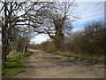 Track north of Farndon