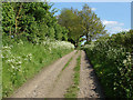 Road to Loseley Park