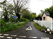 TM4493 : Crabtree Lane, Aldeby by Geographer