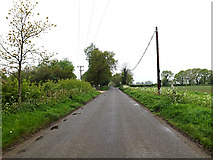 TM4693 : Beccles  Road, Burgh St.Peter by Geographer