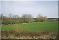 Countryside north of the railway line