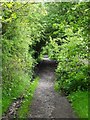 Path by Aston Common