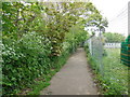 Path through Blatchington Court Woods