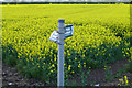 Footpath signs in a rape field