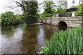 TL9369 : Stream below Pakenham Watermill by David P Howard