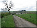 Minor Road east of Uplawmoor