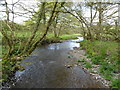 The River Camel at Kenningstock Mill