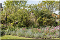 Garden,  Muswell Hill, London N10