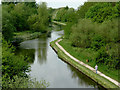 The canal at Spring Vale, Wolverhampton