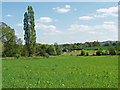 Farmland near Loseley Park