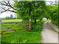 Junction of footpath and private access road