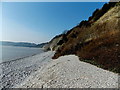 Western end of a pebble beach, Barry