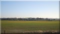 Farmland near Paddock Wood